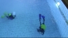 0000102.jpg