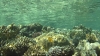 vlcsnap-2367685 (Large)