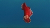 vlcsnap-2420196 (Large)
