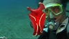 vlcsnap-2420869 (Large)
