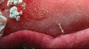 vlcsnap-2421276 (Large)