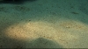vlcsnap-2528844 (Large)