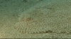 vlcsnap-2529109 (Large)