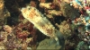 vlcsnap-2532809 (Large)